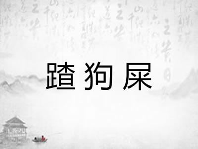 蹅狗屎 蹅狗屎