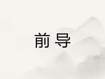 前导
