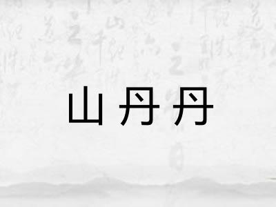 山丹丹 山丹丹