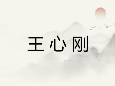王心刚 王心刚