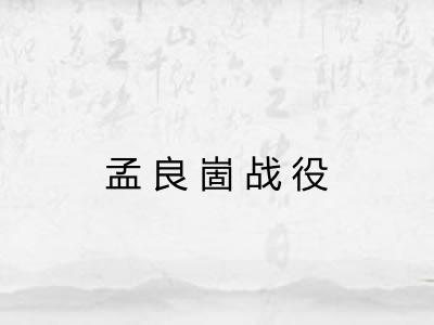 孟良崮战役 孟良崮战役