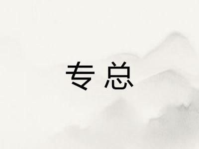 专总