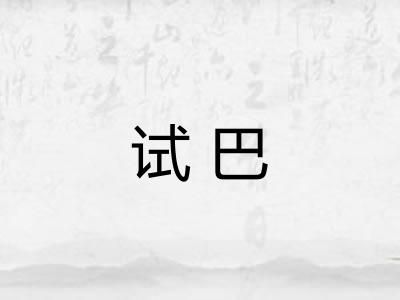 试巴 试巴