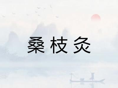 桑枝灸 桑枝灸