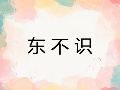 东不识 东不识