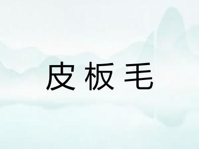 皮板毛 皮板毛