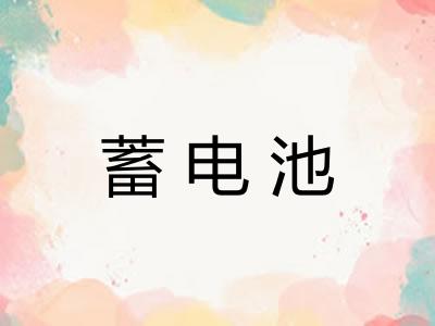 蓄电池 蓄电池