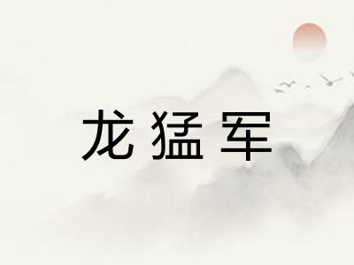 龙猛军
