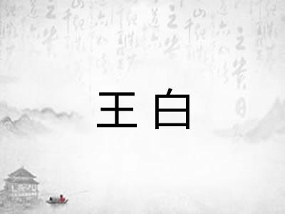 王白 王白
