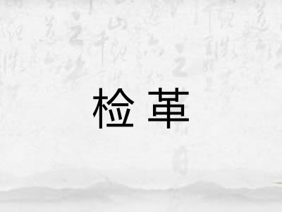 检革 检革