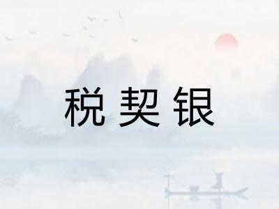 税契银