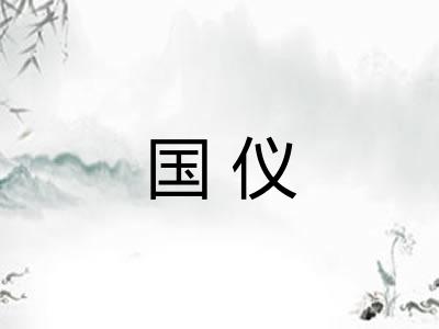 国仪 国仪