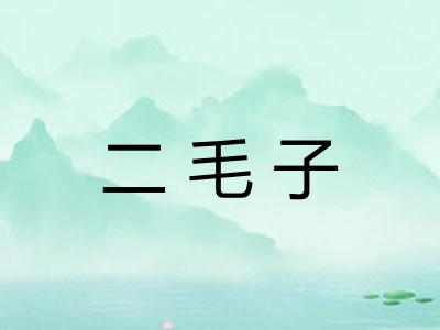 二毛子
