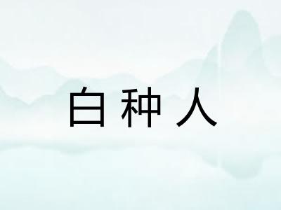 白种人