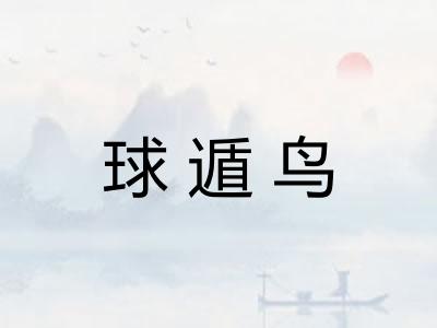 球遁鸟 球遁鸟