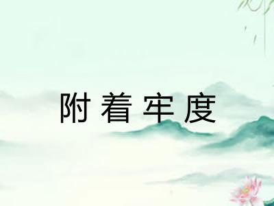 附着牢度 附着牢度