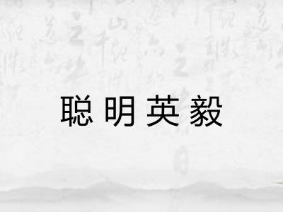 聪明英毅 聪明英毅