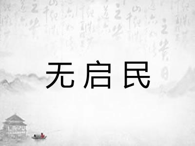 无启民 无启民