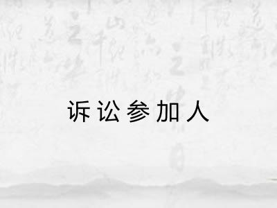 诉讼参加人