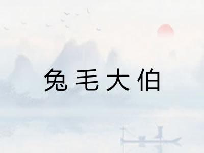 兔毛大伯
