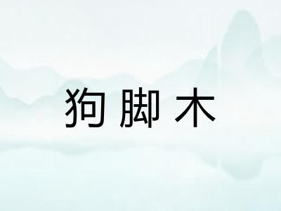 狗脚木 狗脚木