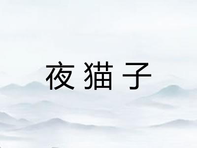 夜猫子 夜猫子