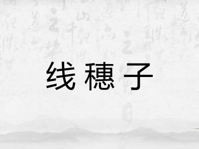 线穗子 线穗子