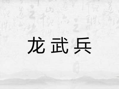 龙武兵 龙武兵