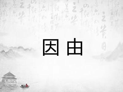 因由 因由