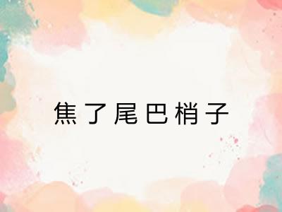 焦了尾巴梢子 焦了尾巴梢子