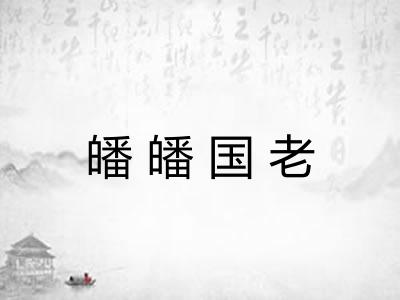 皤皤国老 皤皤国老