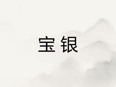 宝银 宝银