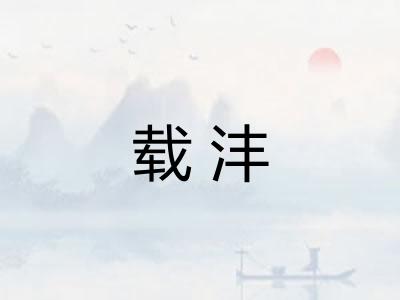 载沣