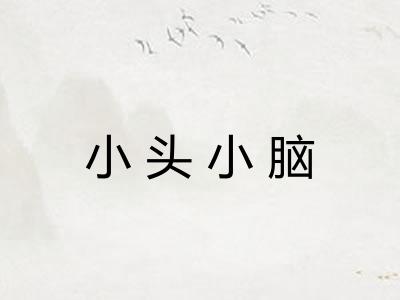 小头小脑 小头小脑