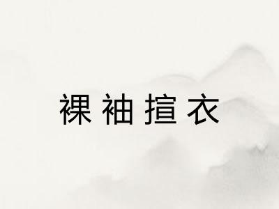 裸袖揎衣 裸袖揎衣