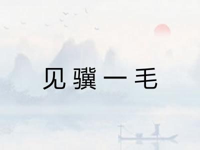 见骥一毛 见骥一毛