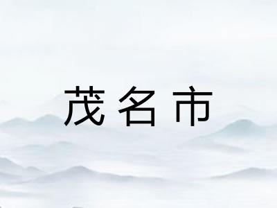 茂名市