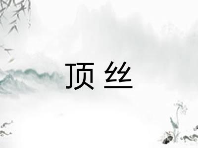 顶丝 顶丝