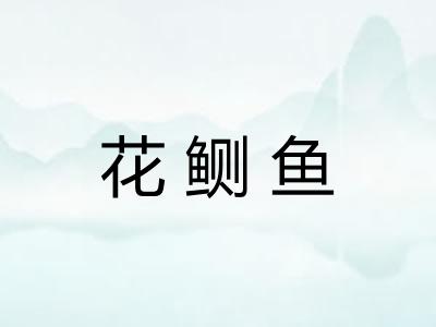 花鲗鱼 花鲗鱼
