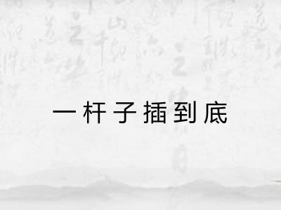 一杆子插到底 一杆子插到底