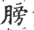膀(印刷字体·宋·广韵)